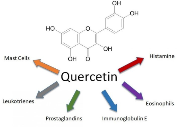 스크린샷 2025-12-23 112754.png